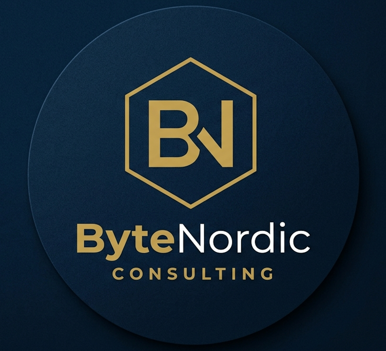 ByteNordic Consulting